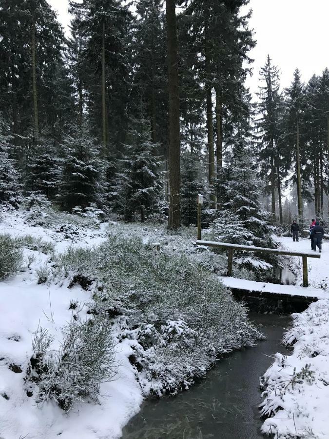 Hahnenklee Ferienpark 7-511 Γκόσλαρ Εξωτερικό φωτογραφία