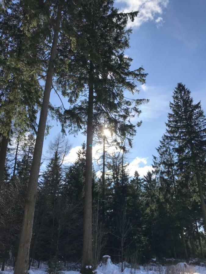 Hahnenklee Ferienpark 7-511 Γκόσλαρ Εξωτερικό φωτογραφία