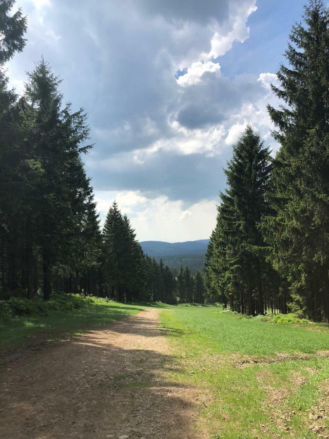 Hahnenklee Ferienpark 7-511 Γκόσλαρ Εξωτερικό φωτογραφία